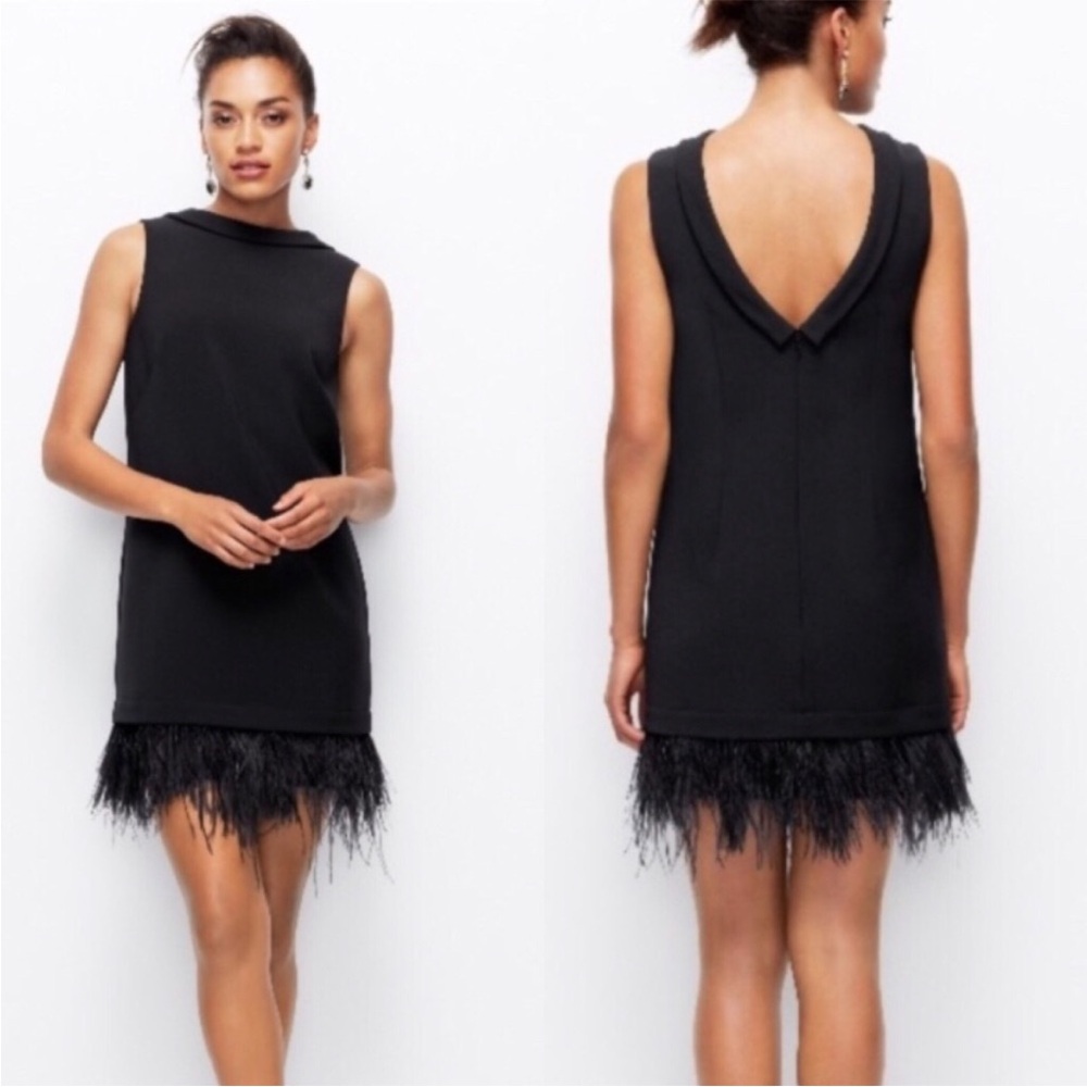 Ann Taylor Black Sleeveless Feather Hem Dress